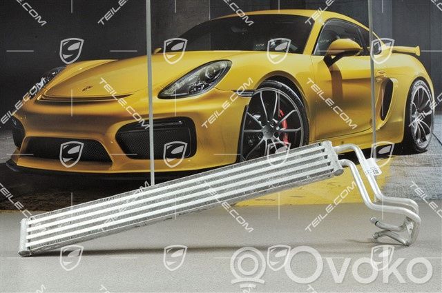 Porsche Cayenne (9PA) Radiator servodirecție 