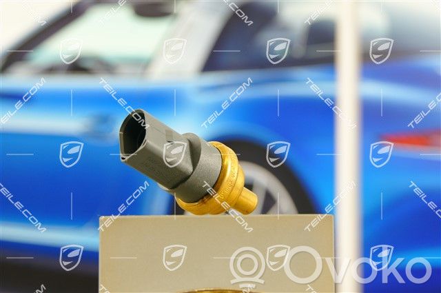 Porsche Panamera (971) Sensor de temperatura del refrigerante 