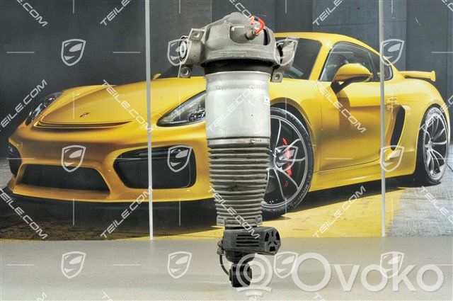 Porsche Cayenne (9PA) Amortyzator tylny