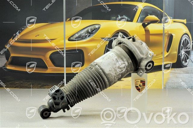 Porsche Cayenne (9PA) Stoßdämpfer hinten 