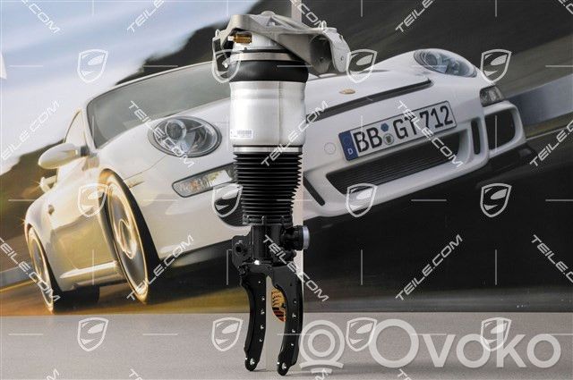 Porsche Cayenne (9PA) Etuiskunvaimennin