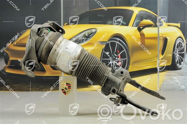 Porsche Cayenne (9PA) Etuiskunvaimennin 