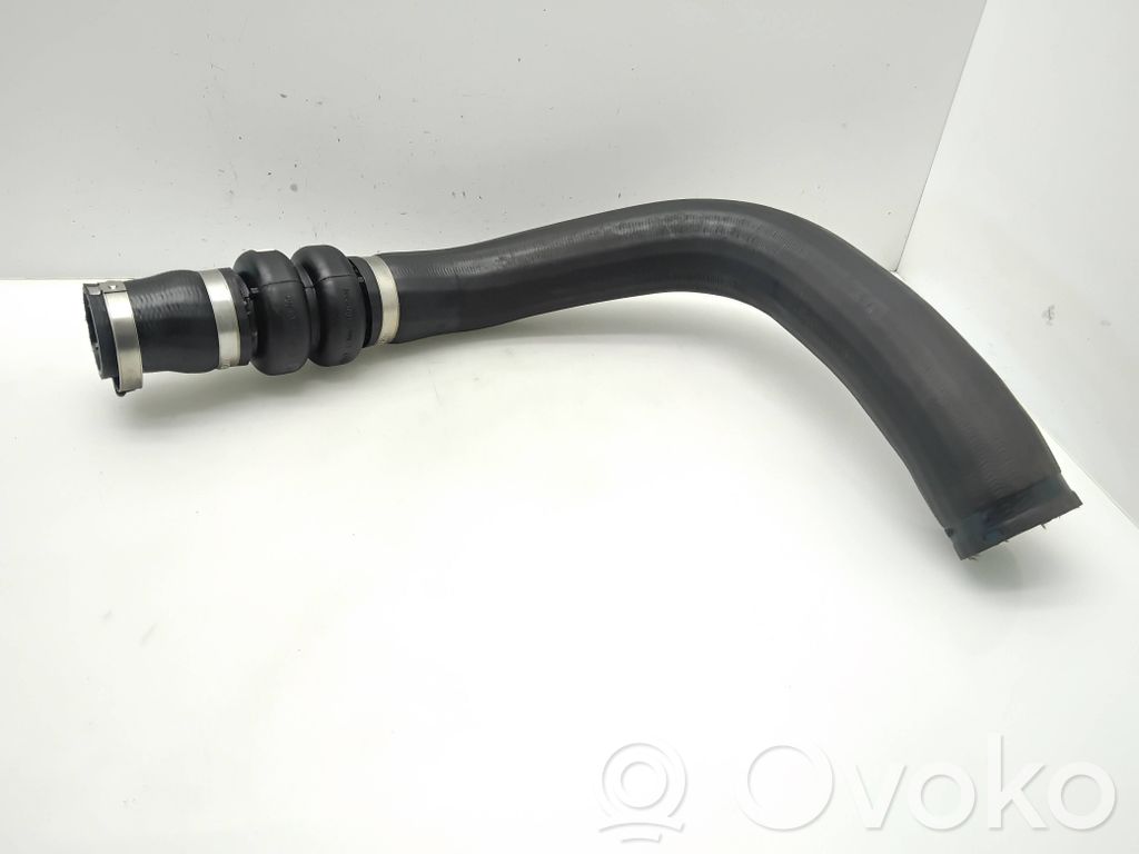 Ford Transit Furtun/conductă intercooler 