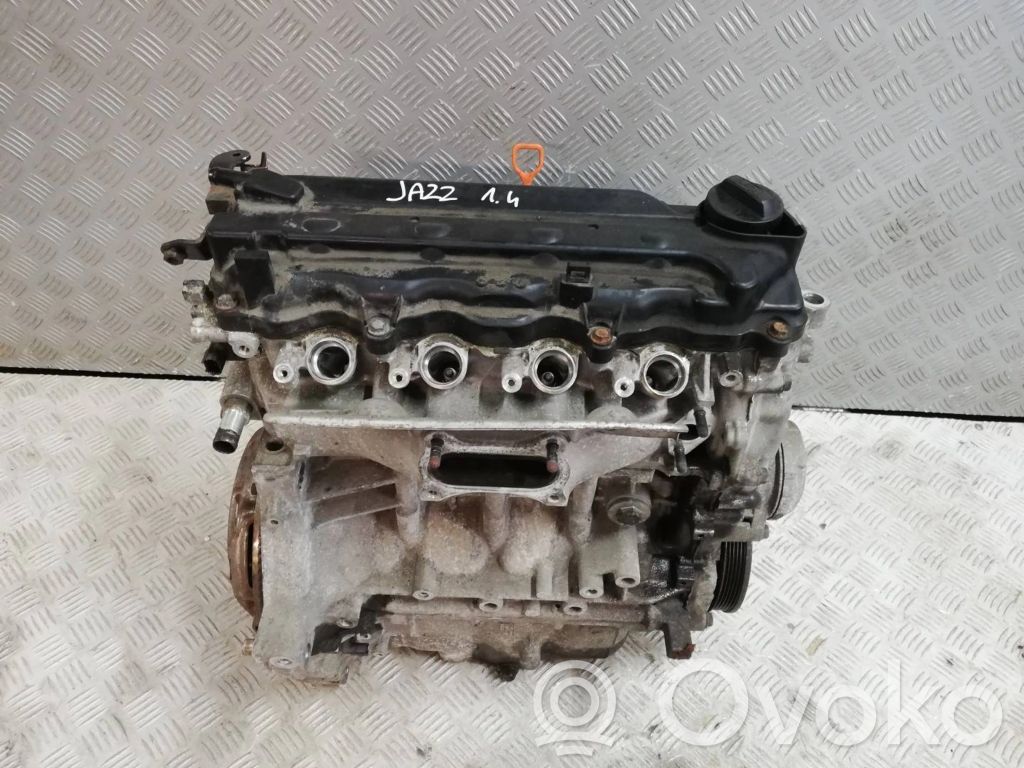 Motor   L13Z1