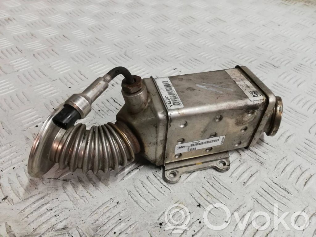 Jeep Renegade EGR valve cooler 