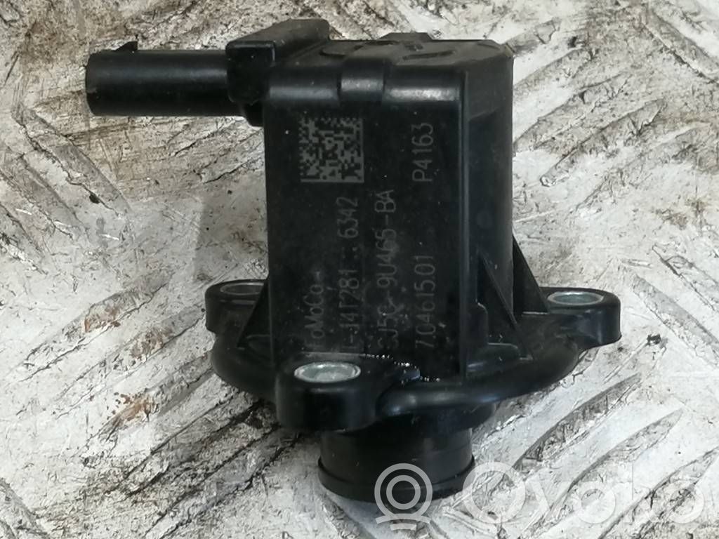 Ford Focus Interkūlera šļūtene (-es) / caurule (-es) 