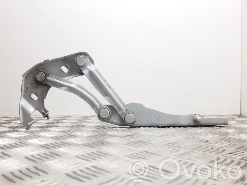 Audi A1 Engine bonnet/hood hinges 