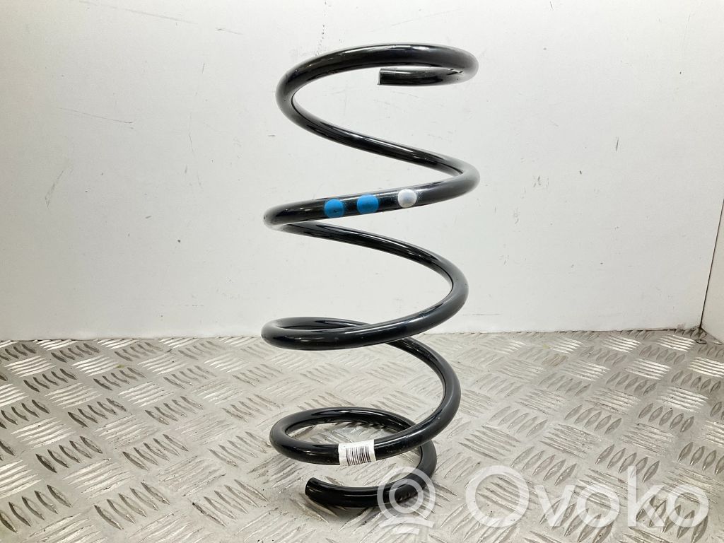Front coil spring