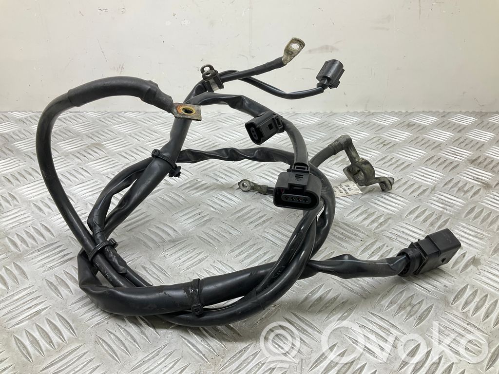 Skoda Rapid (NH) Cables (alternador) 