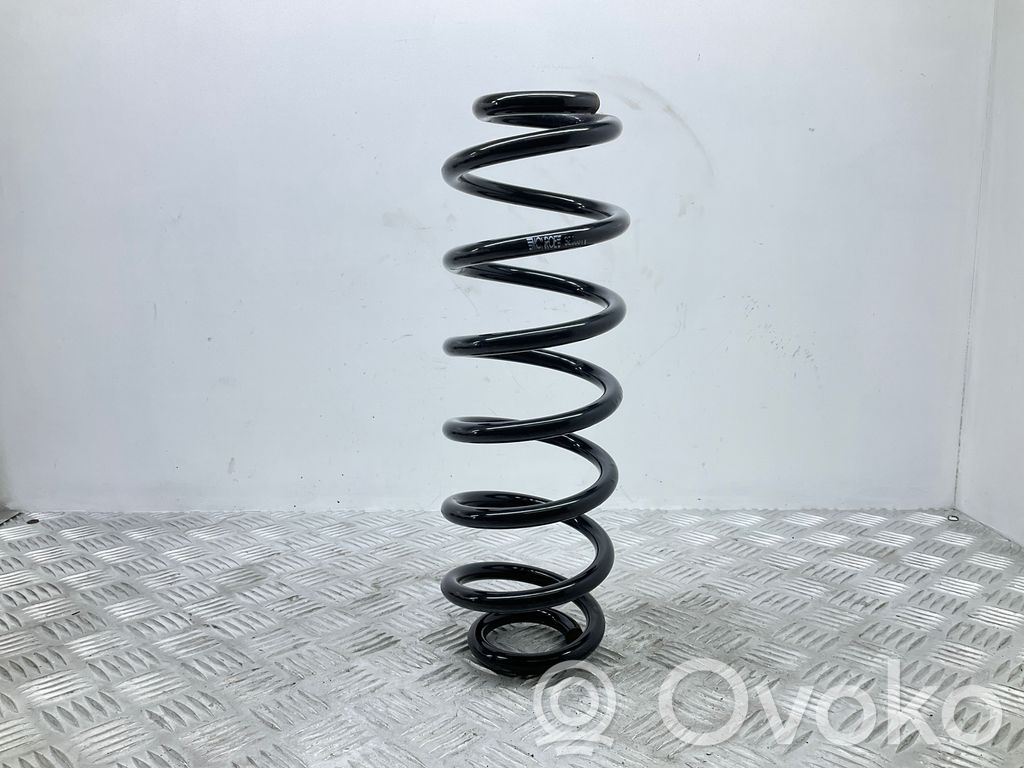 Volkswagen Tiguan Feder hinten 