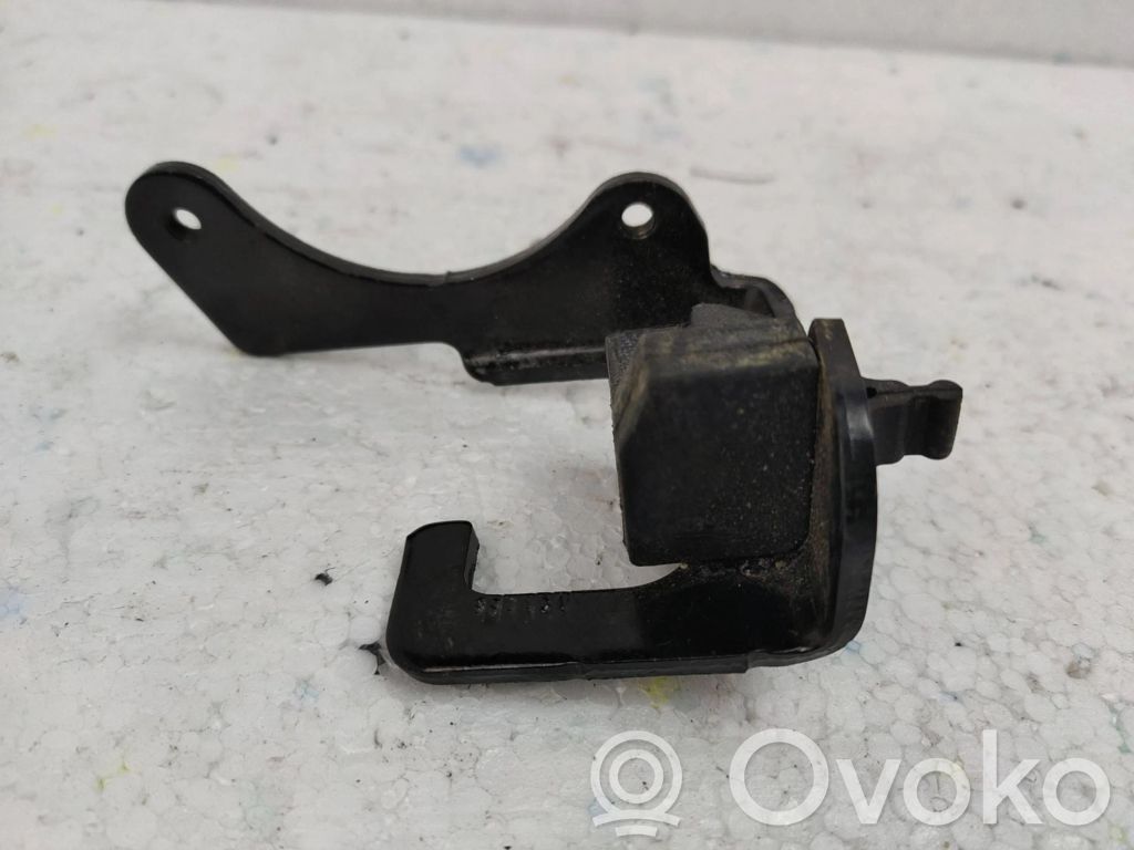 Chrysler Town & Country V Rear door check strap stopper 