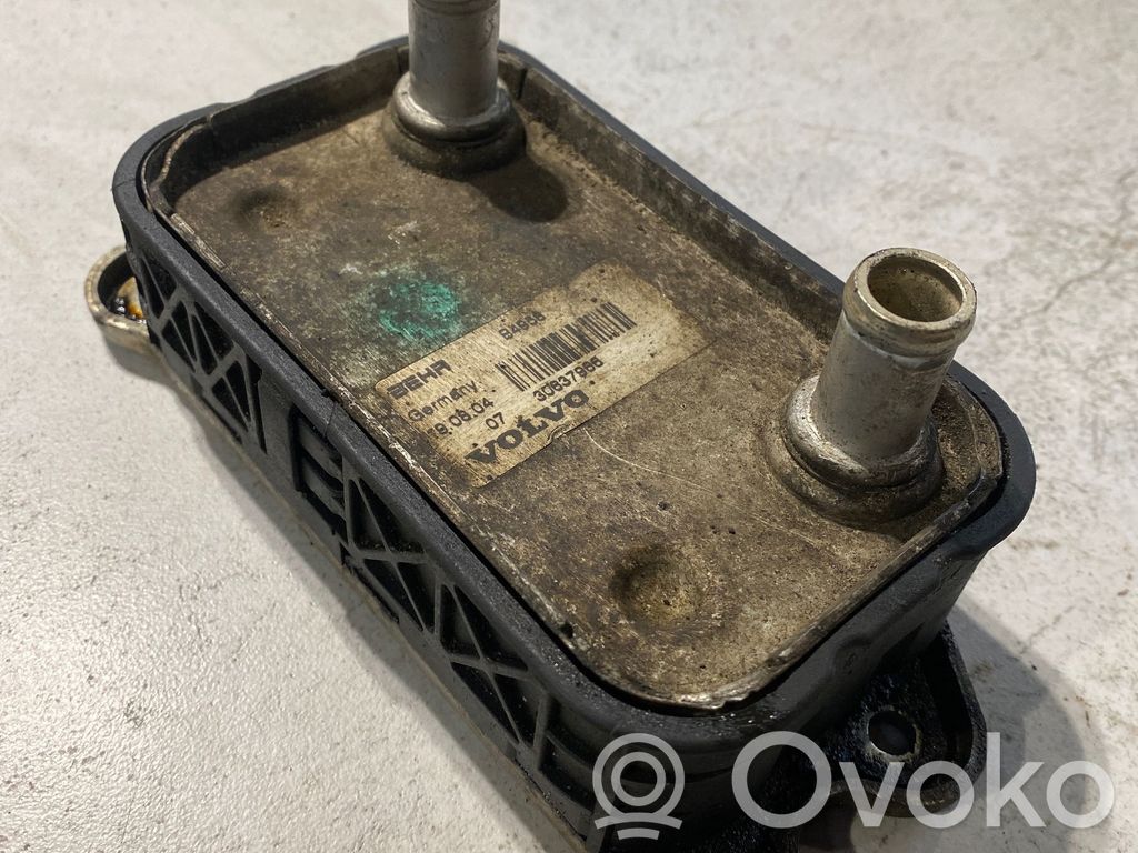 Volvo V50 Ölkühler 