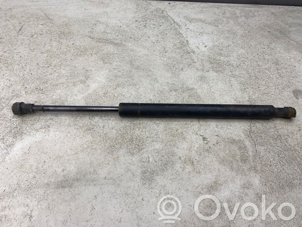 Tailgate/trunk strut/damper   8254281