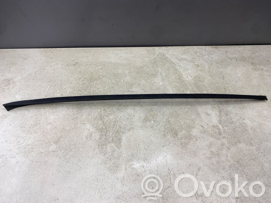 Volkswagen PASSAT B6 Windshield trim 