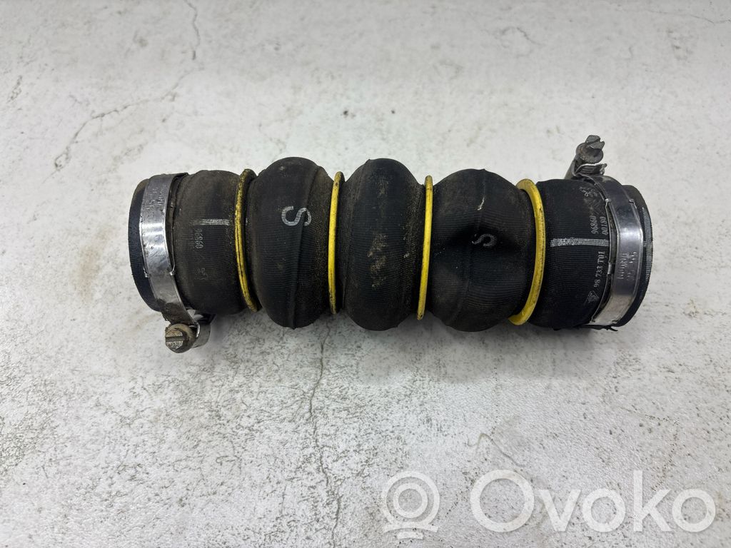 Citroen Berlingo Interkūlera šļūtene (-es) / caurule (-es) 