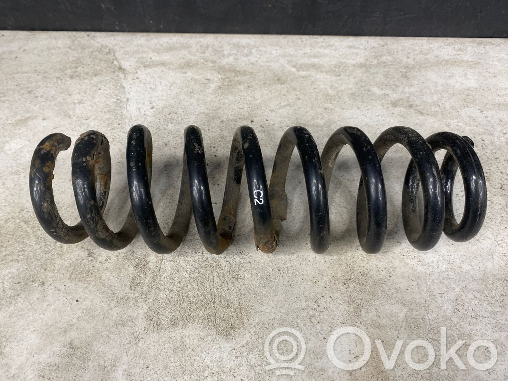Muelle espiral trasero