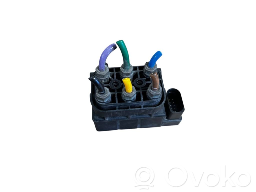 Tesla Model S Air suspension valve block 