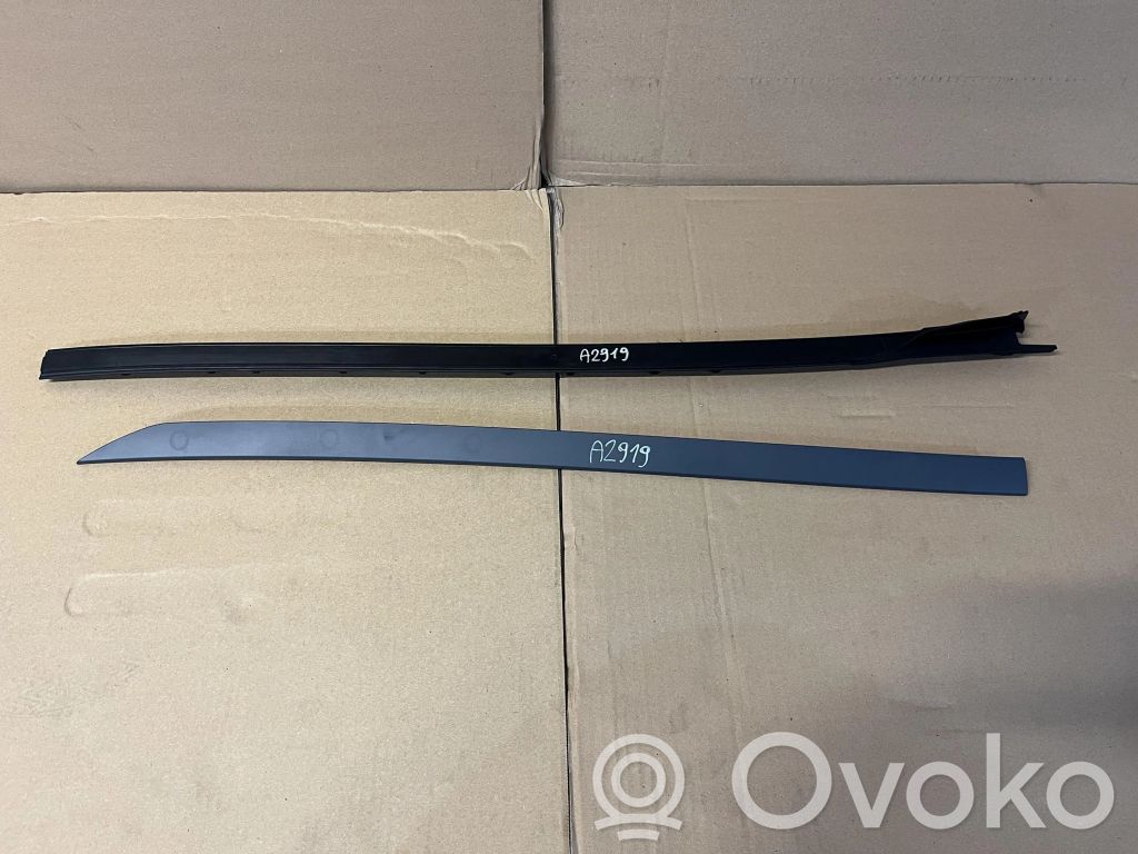 BMW X6 G06 Șină geam ușă față 