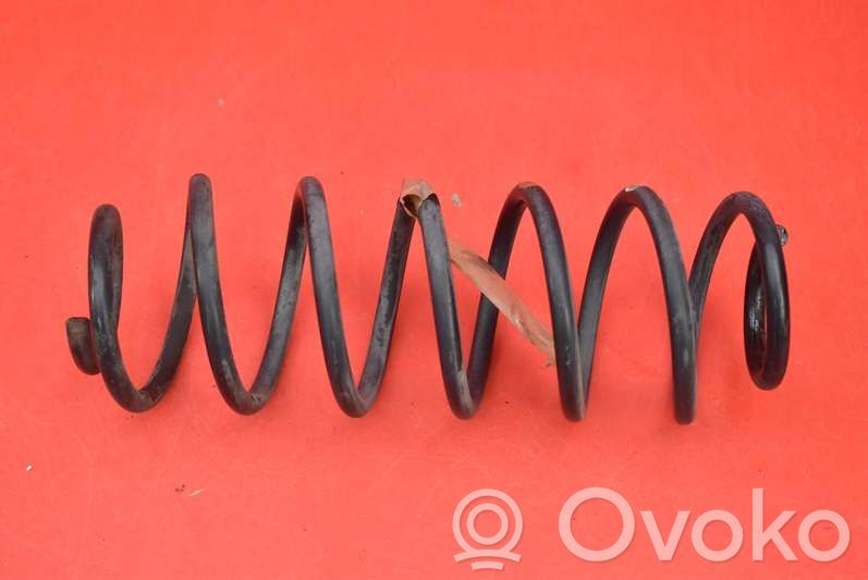 Rear coil spring