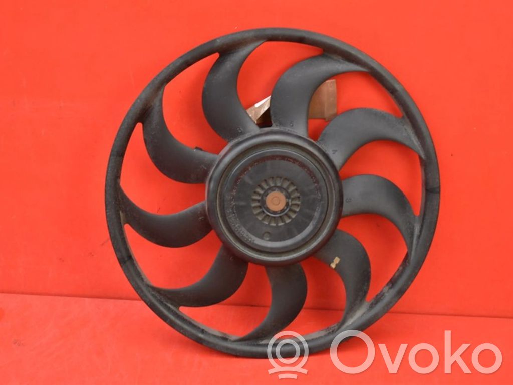 Elektryczny wentylator chłodnicy   214815679R,214815679R