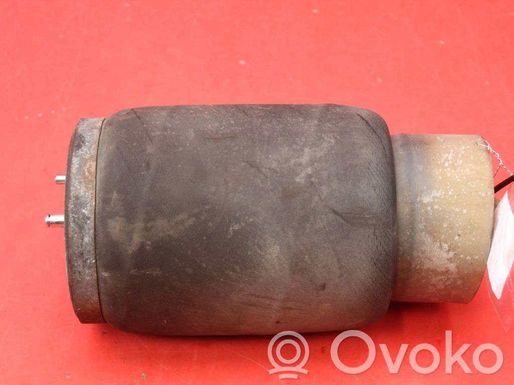 Stoßdämpfer hinten   6750355,6750355