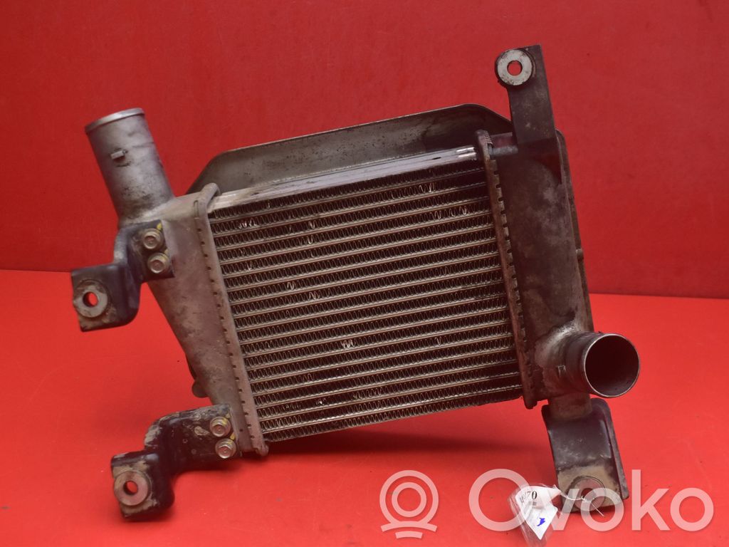 Dodge Pick Up D300 Radiatore intercooler 
