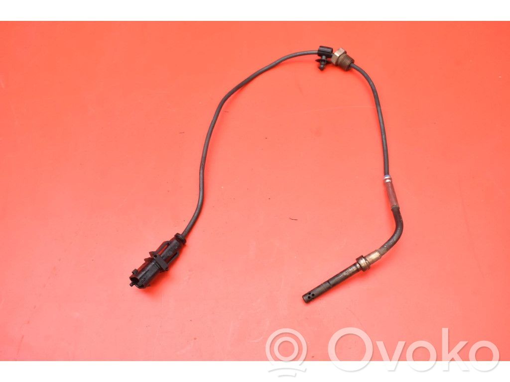 Citroen Nemo Cita veida sensors 