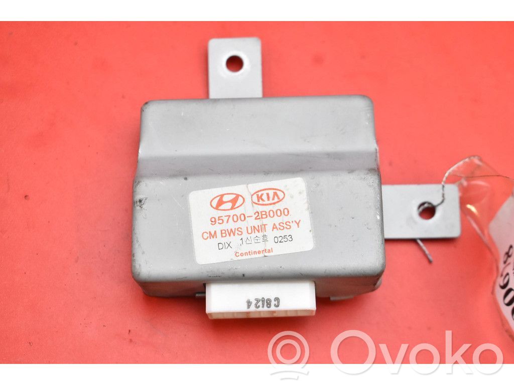 Hyundai Santa Fe Centralina/modulo motore ECU
