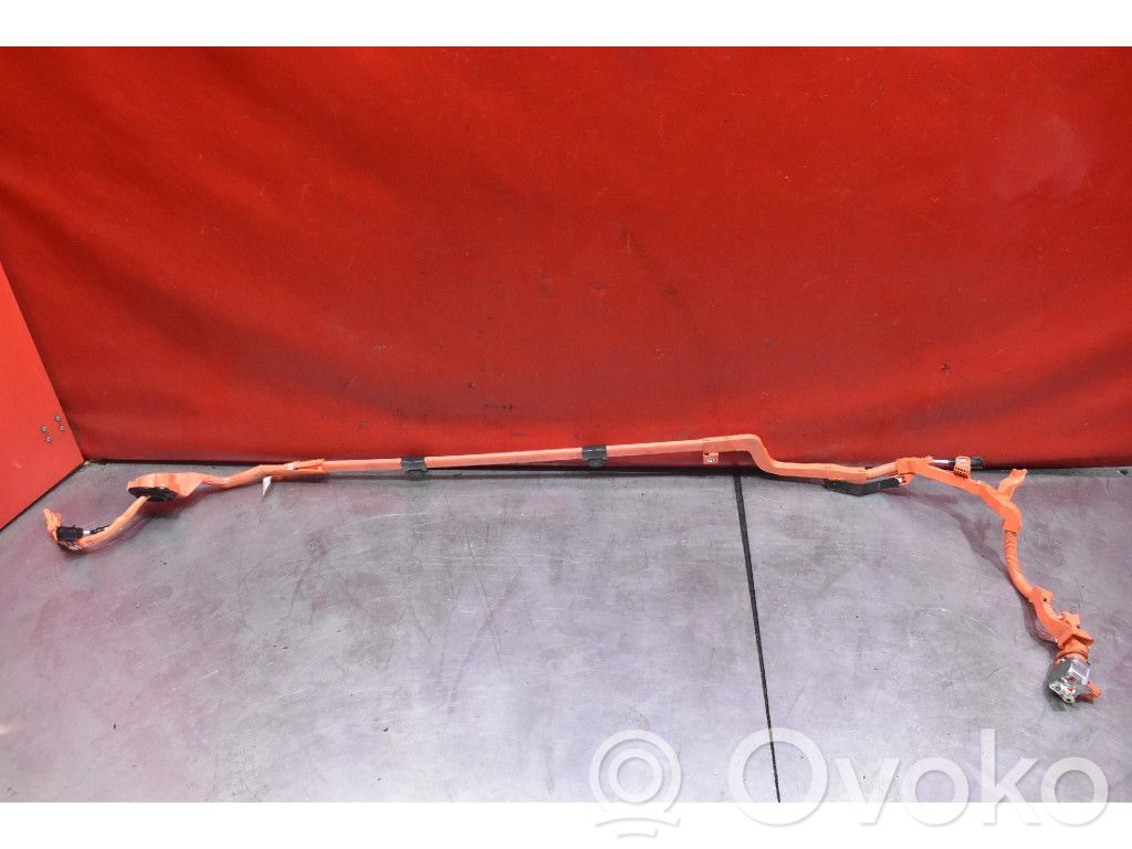 Muu johtosarja   821H10D010,821H10D010