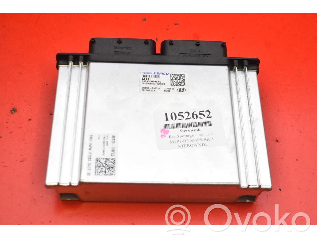Engine control unit/module ECU   391992M021,391992M021