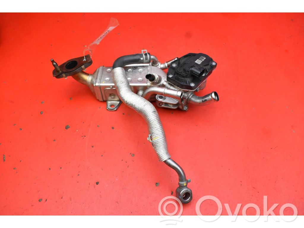 Hyundai Tucson JM Valvola di raffreddamento EGR 