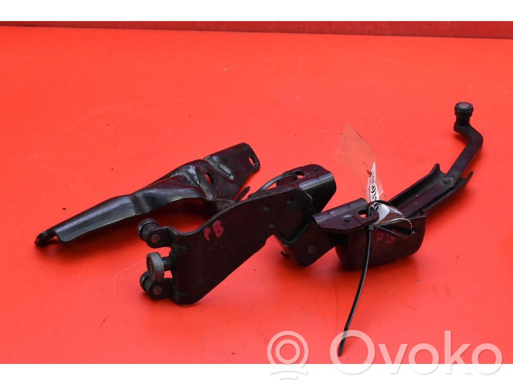 Front door hinge set   51814082,51814082