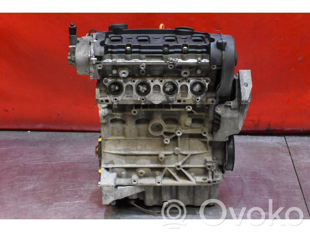 Volkswagen PASSAT B5.5 Motore 
