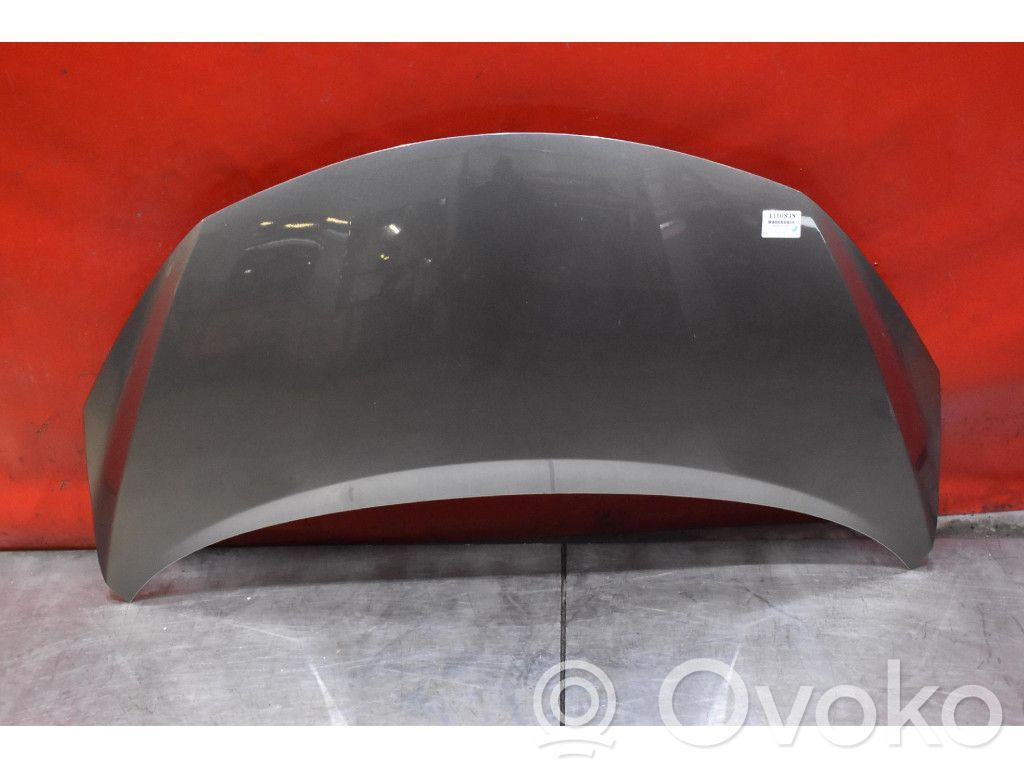Motorhaube