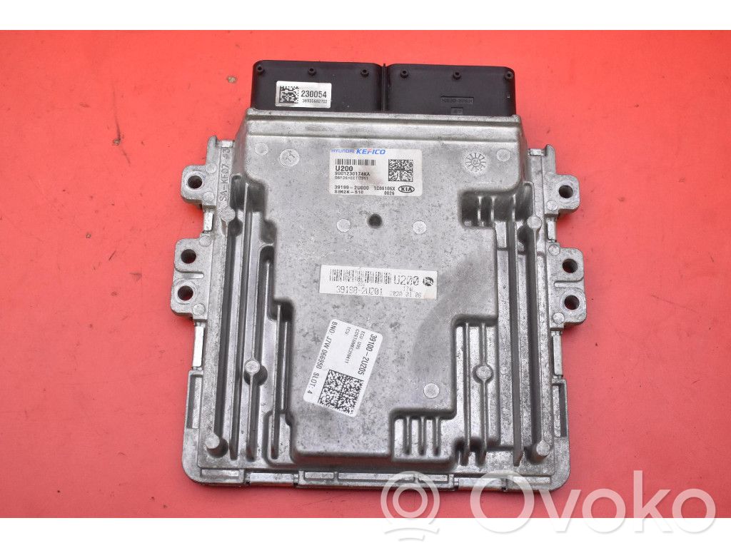 Galloper Exceed Engine control unit/module ECU