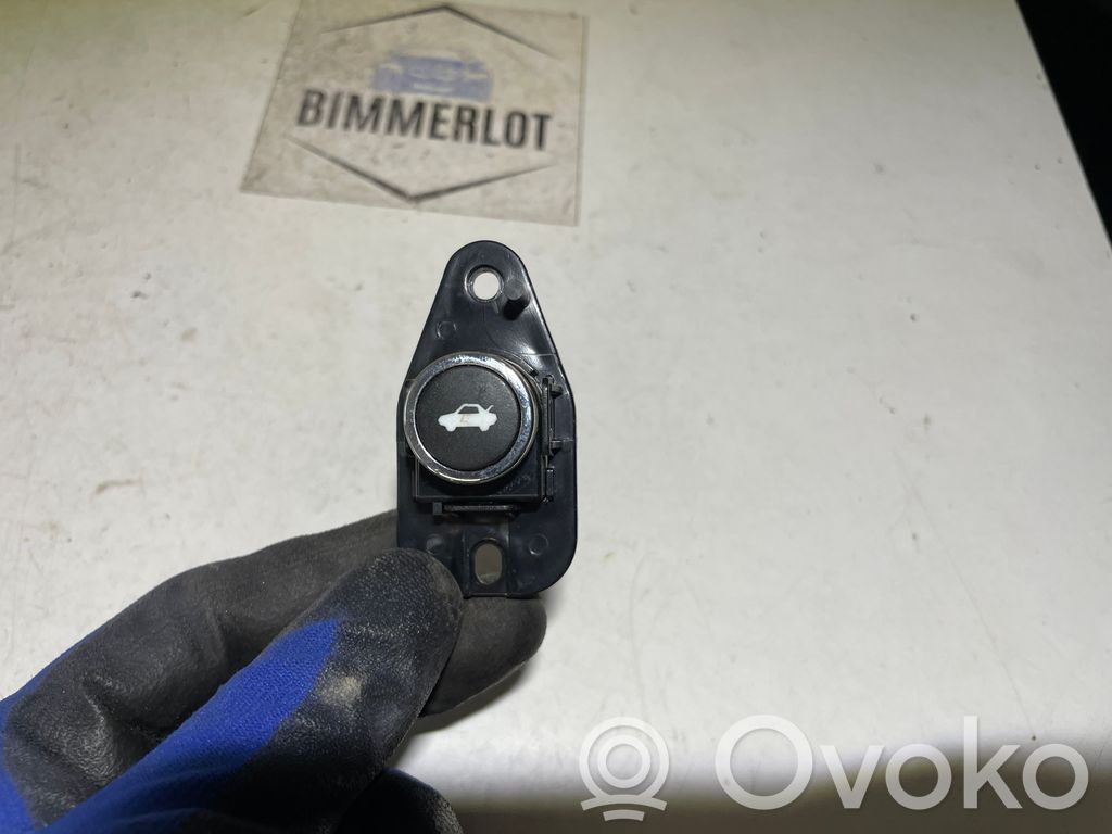 Dodge Charger Tailgate opening switch 