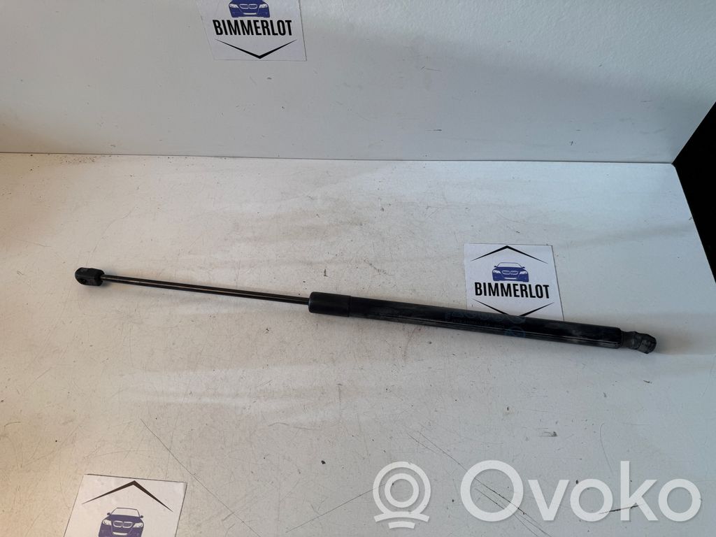 Ford Focus Tailgate/trunk strut/damper 