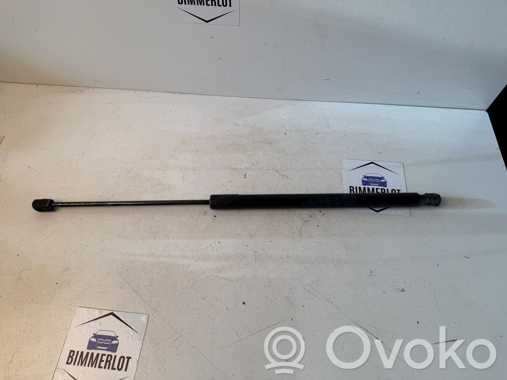 Ford Focus Tailgate/trunk strut/damper 