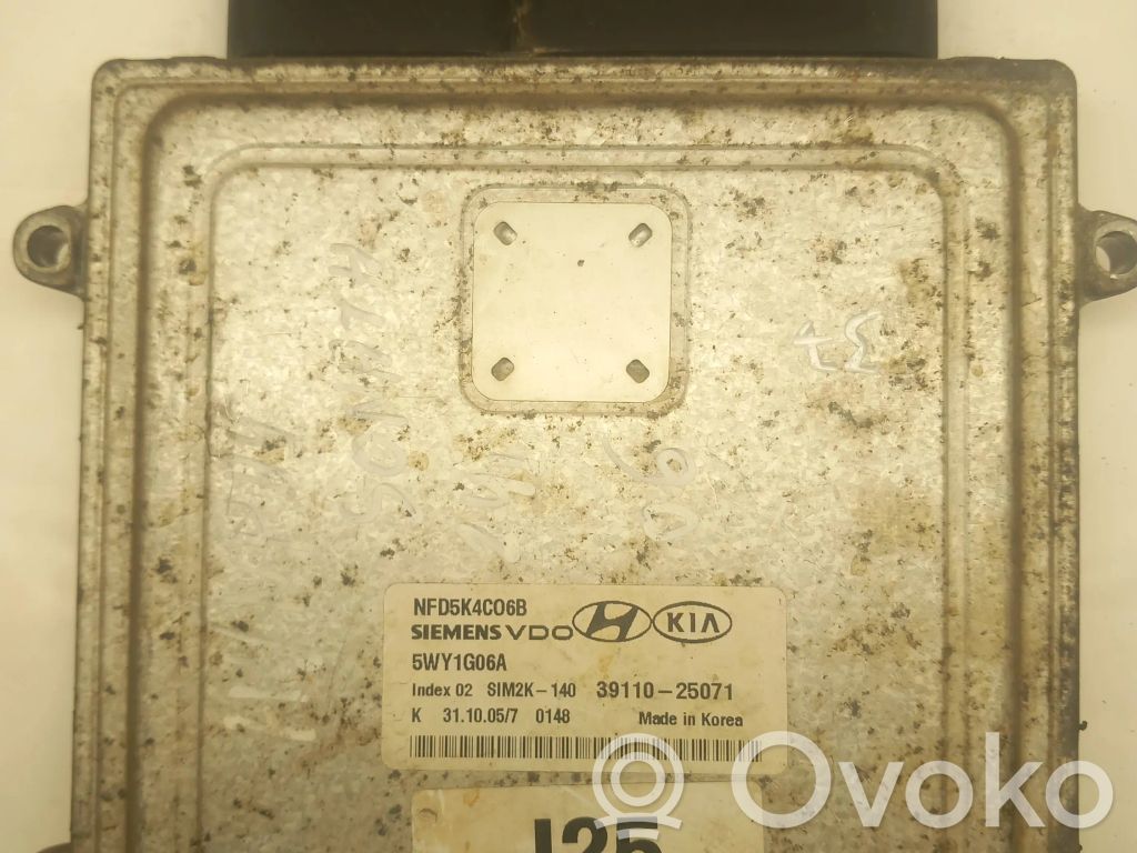 Hyundai Sonata Engine control unit/module 