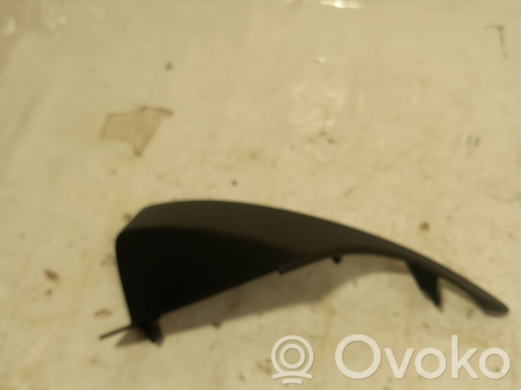 Moldura del panel (Usadas)   9811021,18428710