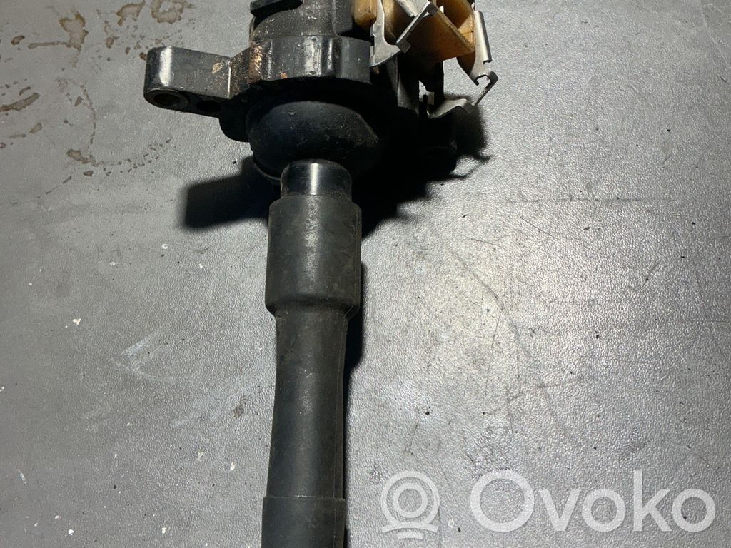 High voltage ignition coil   1748017