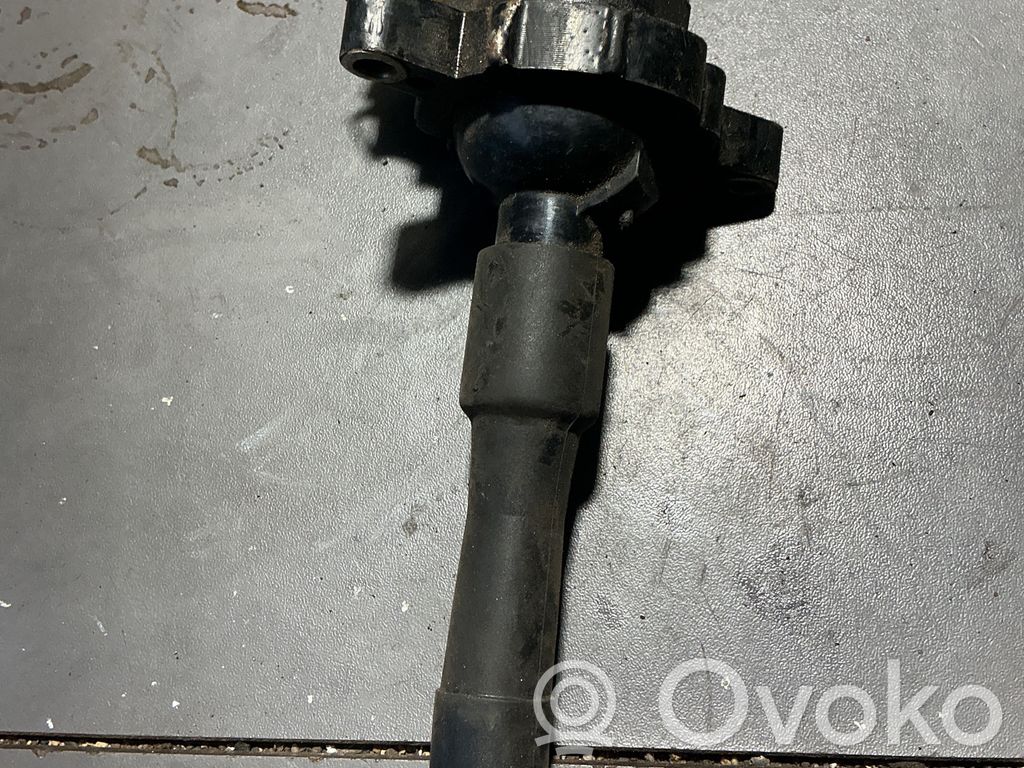 High voltage ignition coil   1748017