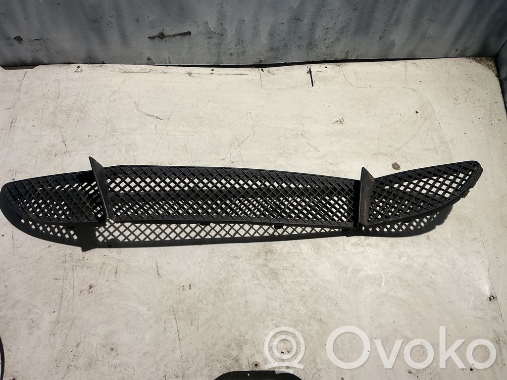BMW 1 E81 E87 Front bumper lower grill 