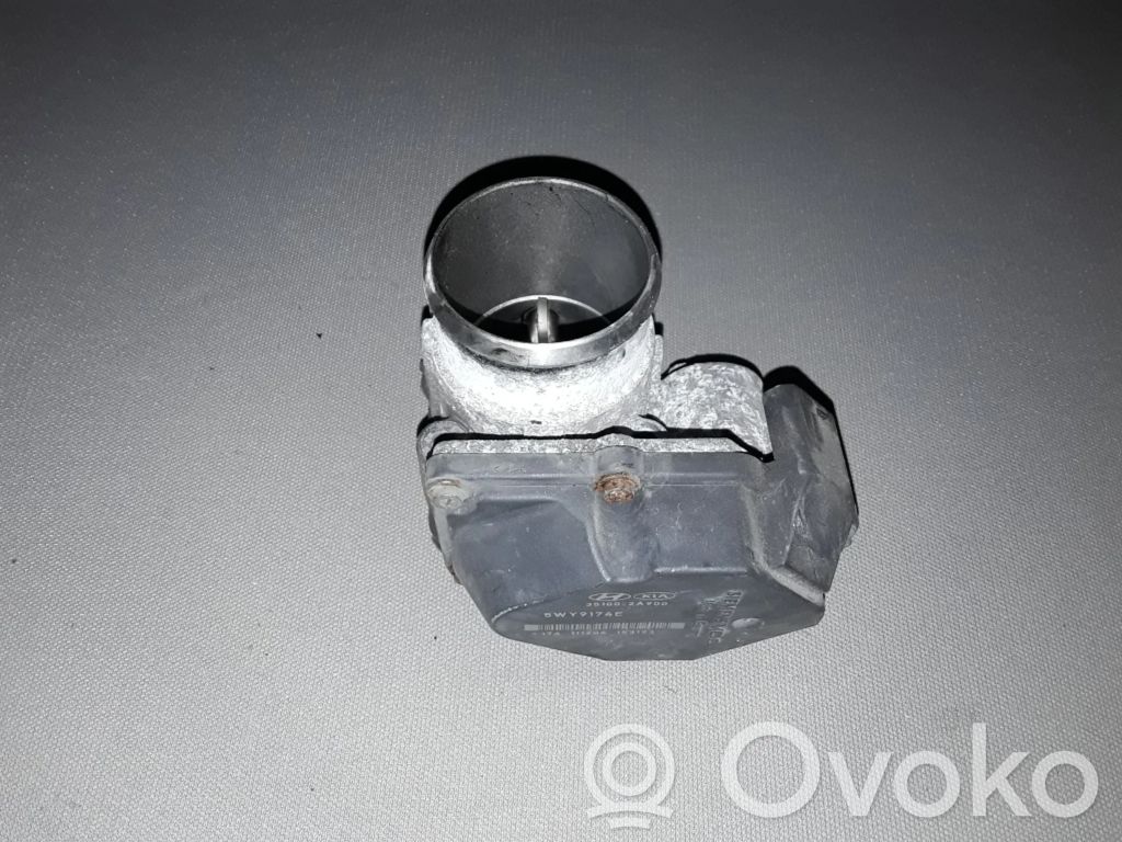 Throttle valve   351002A900