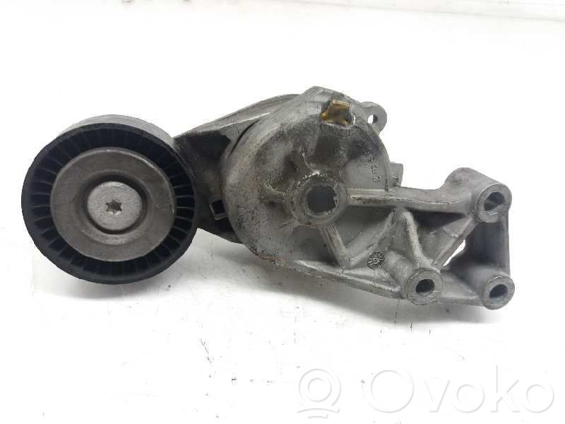 Tensor de correa del alternador   950372