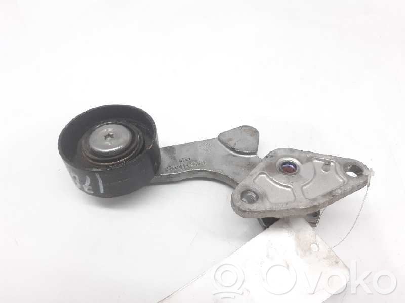 KIA Niro Tendicinghia generatore/alternatore 