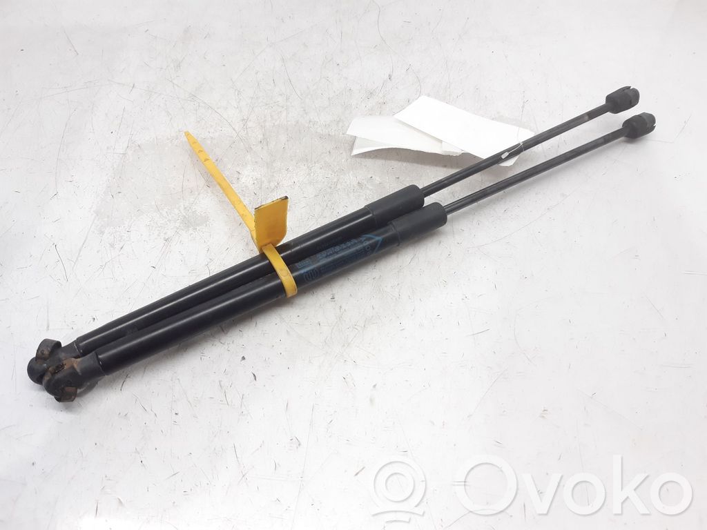 Jeep Renegade Tailgate/trunk strut/damper 