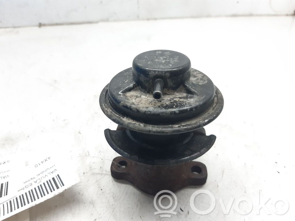 Hyundai Terracan Válvula EGR 