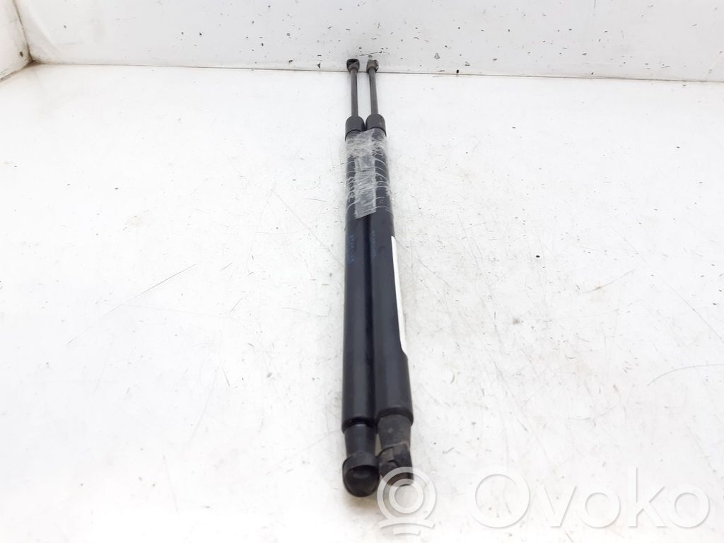 Tailgate/trunk strut/damper   904509U00C