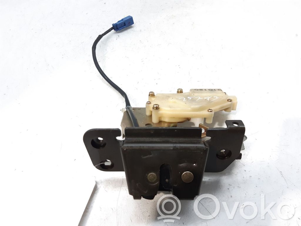 Tailgate/trunk/boot lock/catch/latch   010120